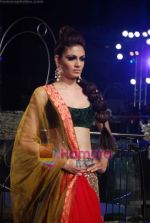Model walks the ramp for Manish Malhotra at Aamby Valley India Bridal Week day 5 on 2nd Nov 2010 (195).JPG
